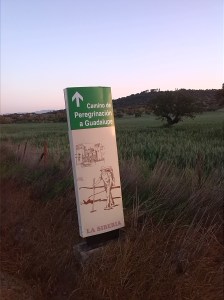 Camino de peregrinación a Guadalupe